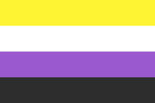 Non-Binary Flag !!